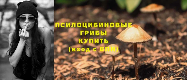 a pvp Армянск