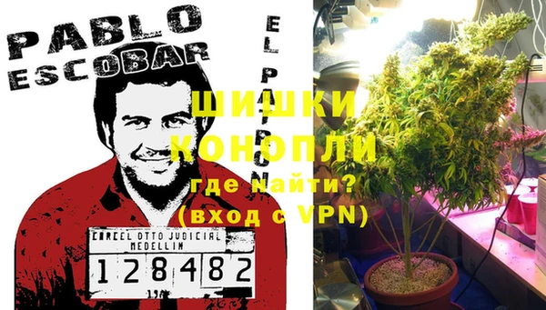 твердый Аркадак
