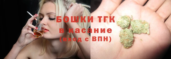 твердый Аркадак