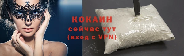 твердый Аркадак
