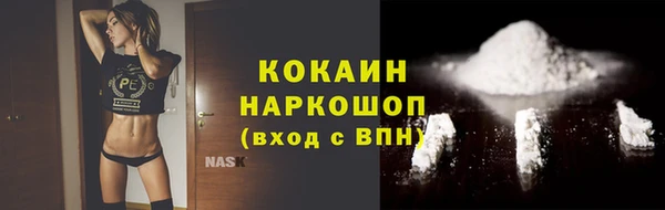 твердый Аркадак