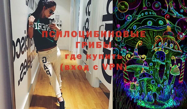 твердый Аркадак