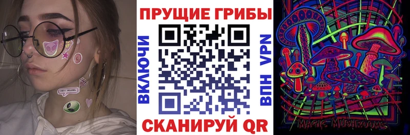 OMG рабочий сайт  Балабаново  Псилоцибиновые грибы Psilocybe 